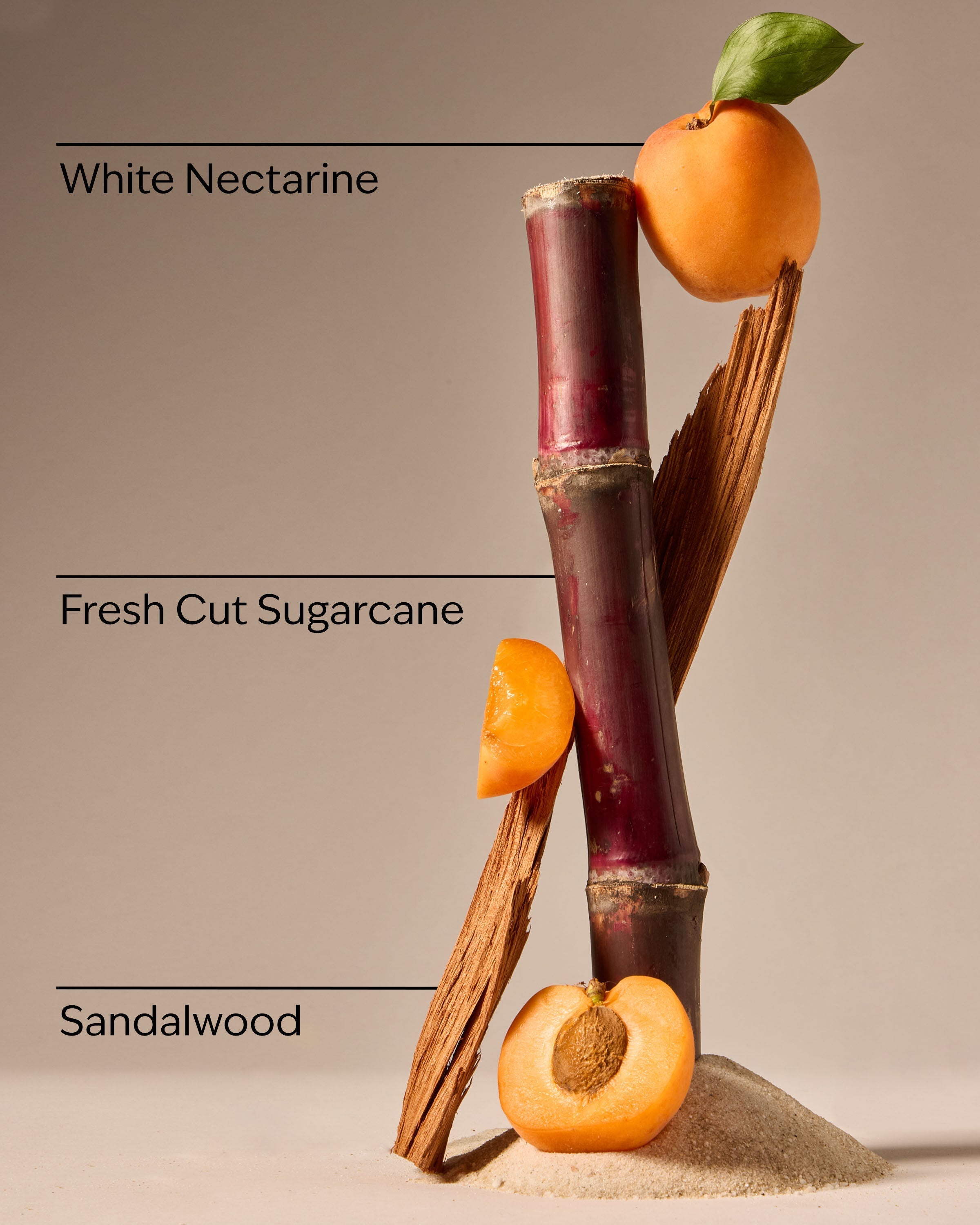 Fiji White Sands Hand Sanitizer with Pump